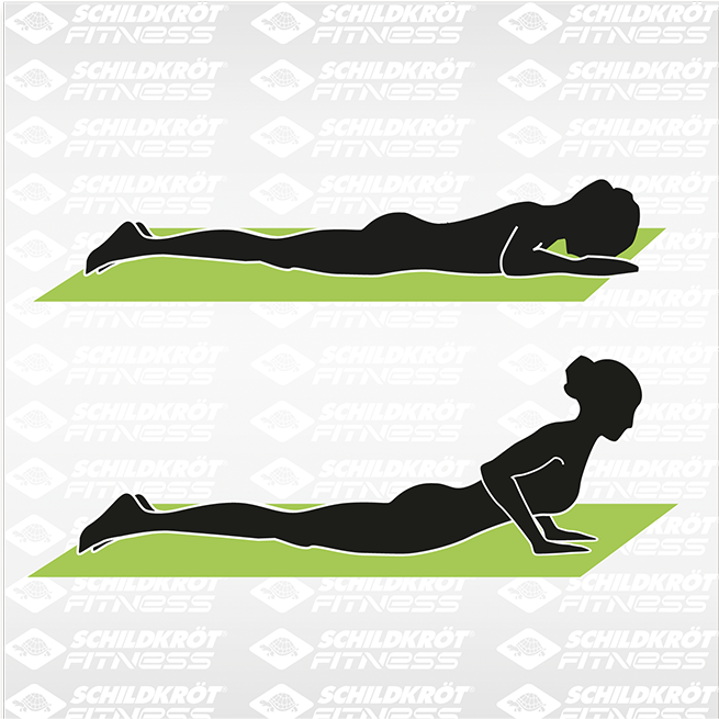 Schildkröt Yoga Matte 4mm in verschiedenen Farben Schildkröt Yoga Matte 4mm in verschiedenen Farben