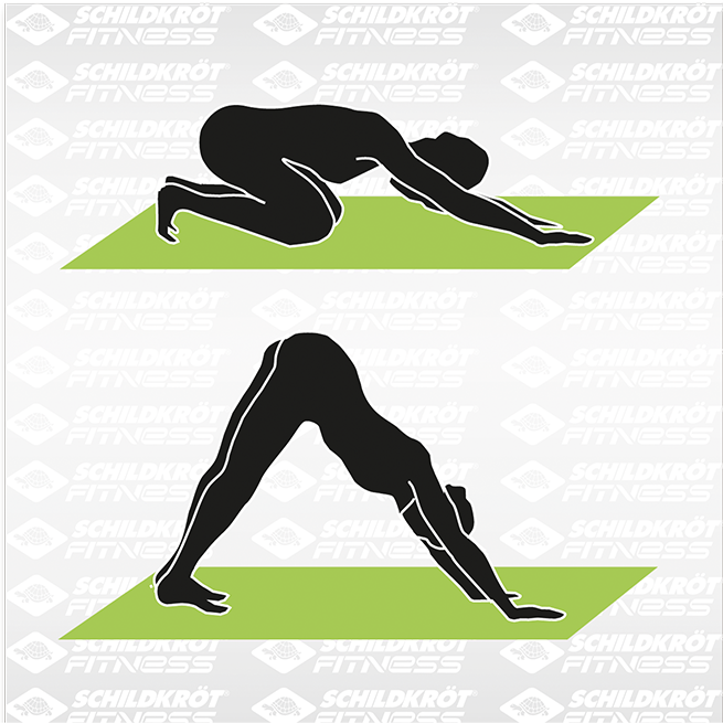 Schildkröt Yoga Matte 4mm in verschiedenen Farben Schildkröt Yoga Matte 4mm in verschiedenen Farben