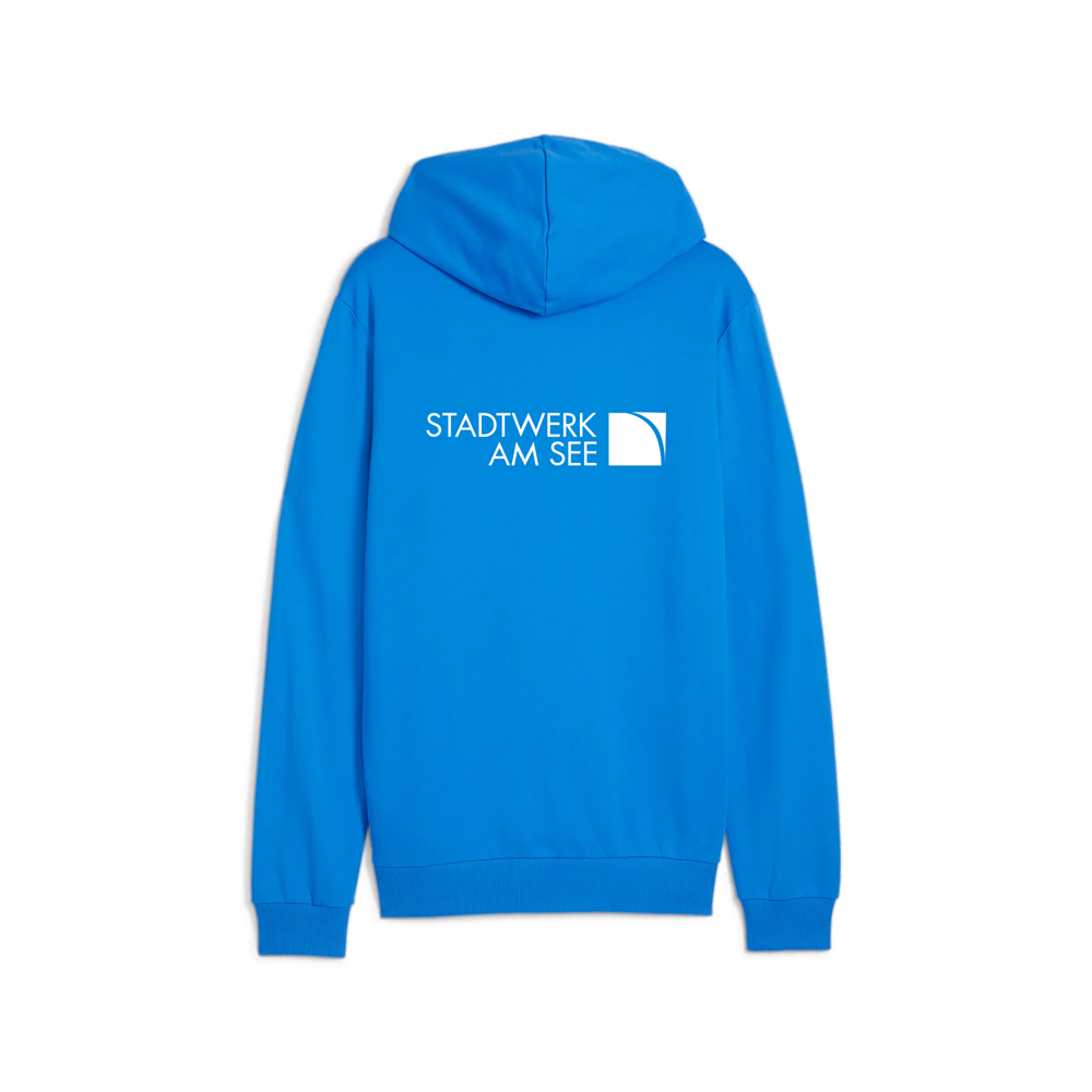 VfB FN Puma teamGOAL Casuals Hoody
