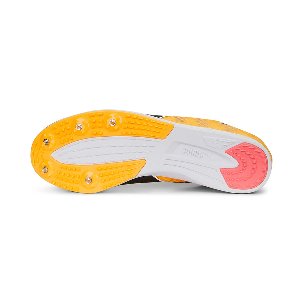 evoSPEED Distance 11 Leichtathletikschuhe / Spikes für Herren - Orange
