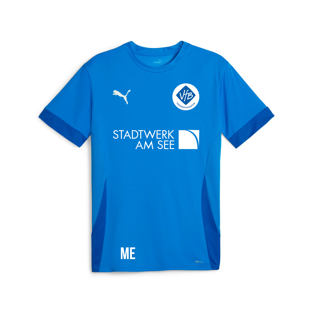 VfB FN Puma teamGOAL Jersey