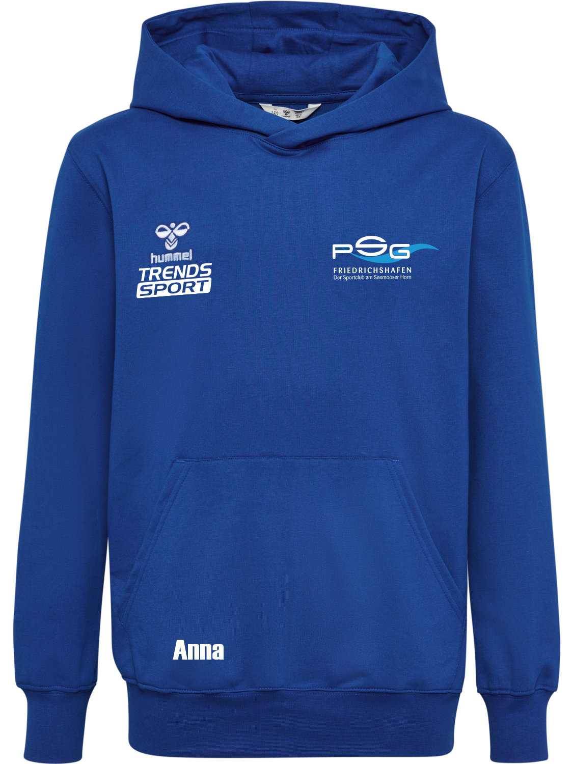 PSG FN Hummel hmlGO 2.0 HOODIE