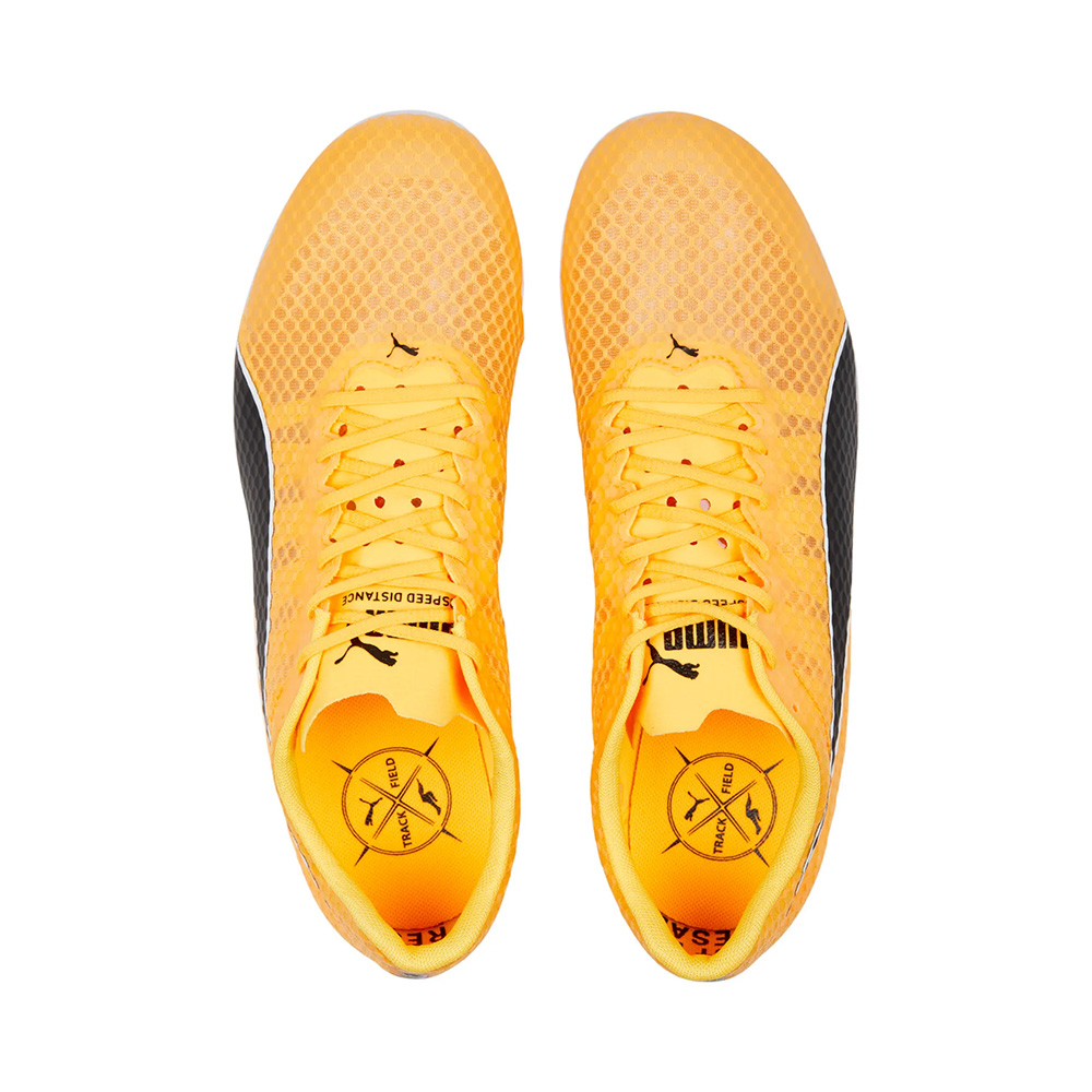 evoSPEED Distance 11 Leichtathletikschuhe / Spikes für Herren - Orange