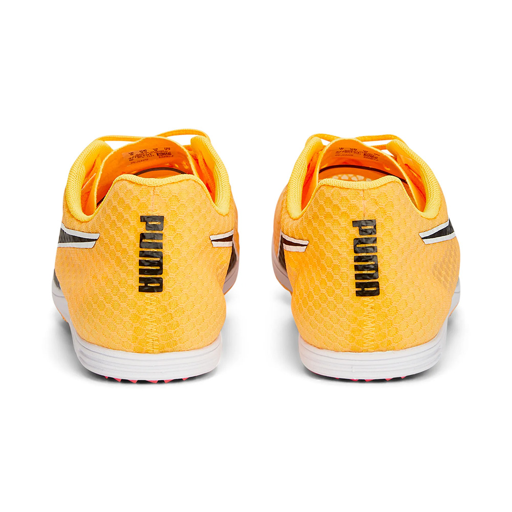 evoSPEED Distance 11 Leichtathletikschuhe / Spikes für Herren - Orange