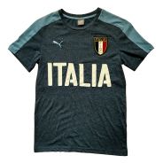 Puma Italien FIGC Azzurri Trainings T-Shirt 